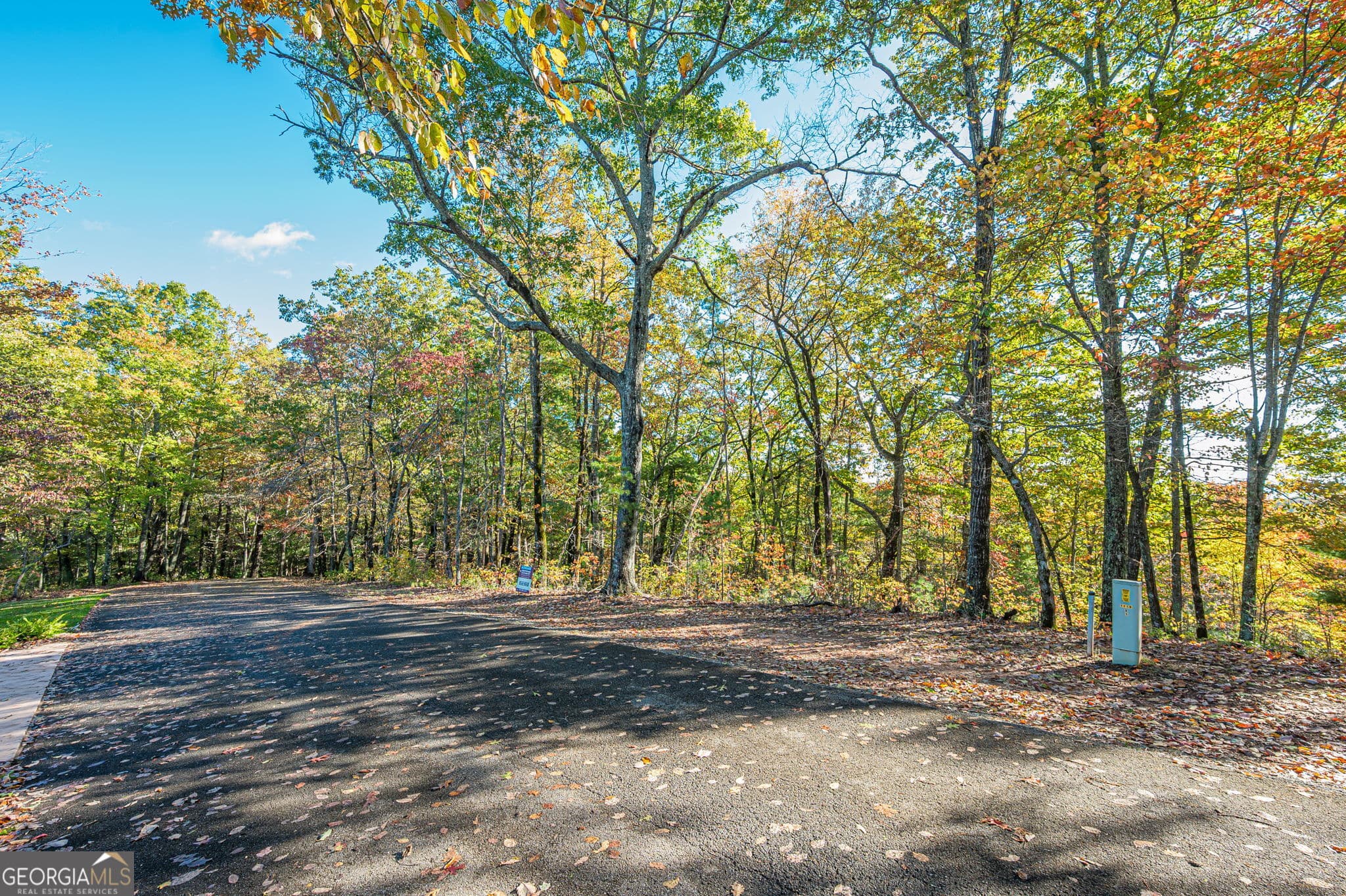 residential lot for sale at LOT 19 Oceola Drive, Ellijay, GA 30540 — photo 4