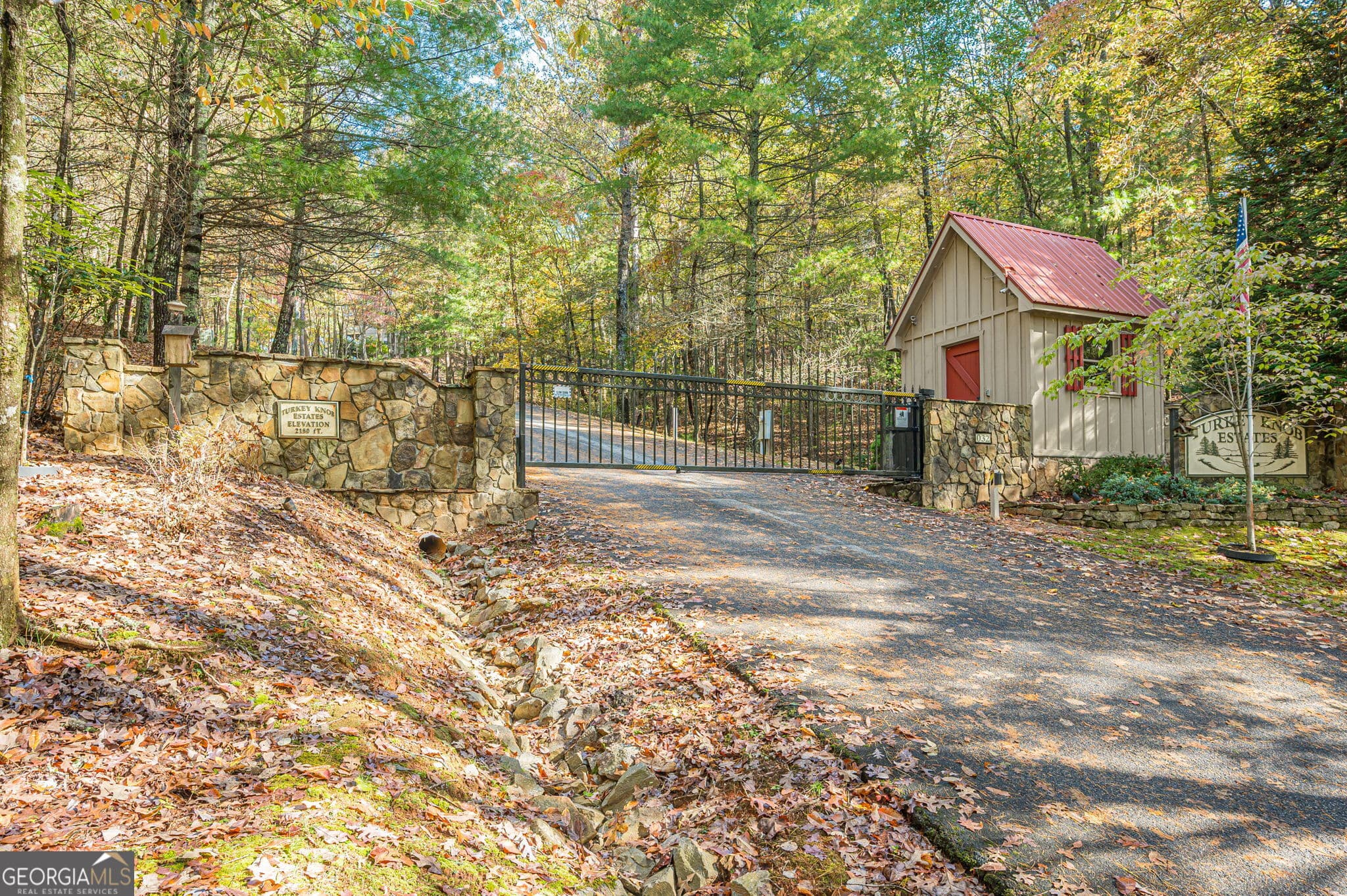 residential lot for sale at LOT 19 Oceola Drive, Ellijay, GA 30540 — photo 8