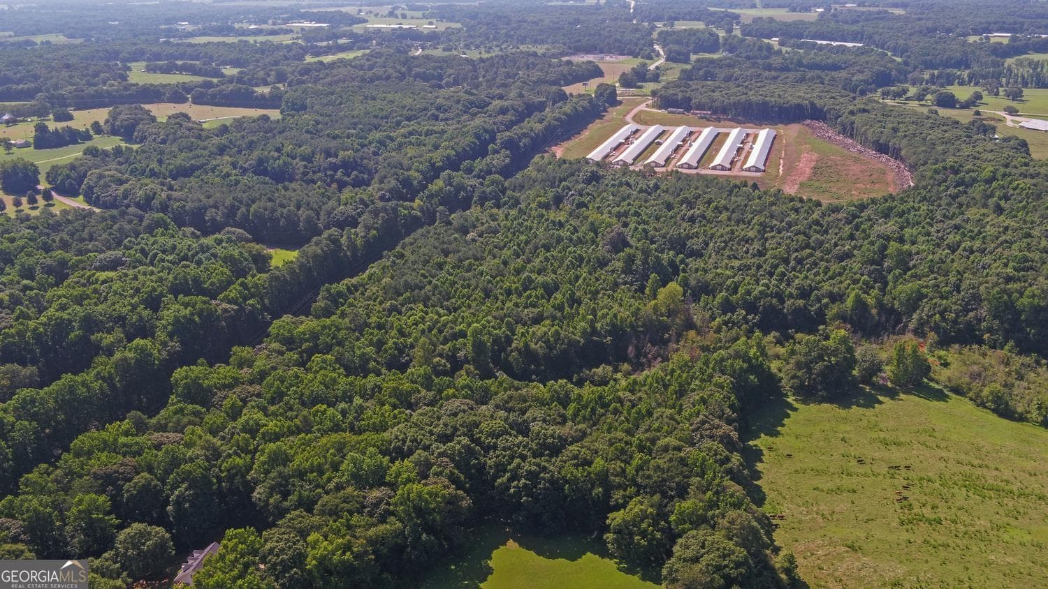 agriculture for sale at 0 Hwy 17, Royston, GA 30662 — photo 3