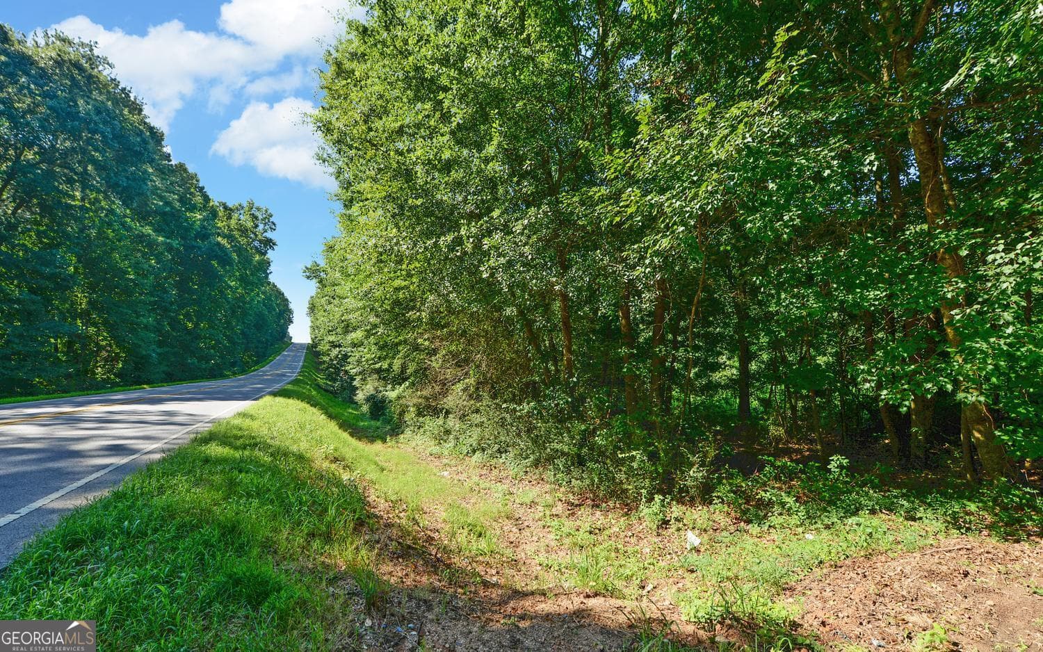 agriculture for sale at 0 Hwy 17, Royston, GA 30662