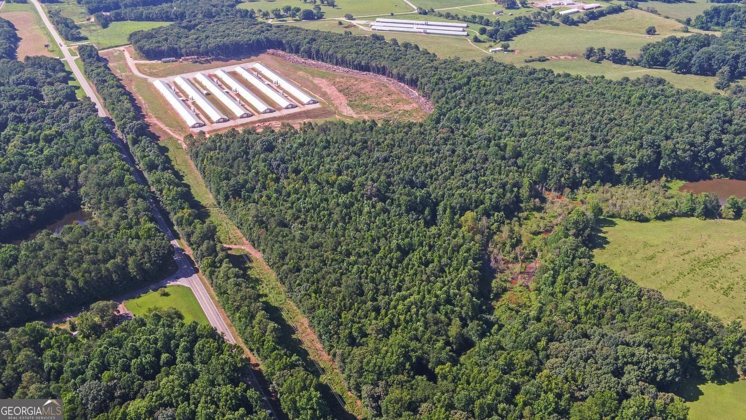agriculture for sale at 0 Hwy 17, Royston, GA 30662 — photo 5