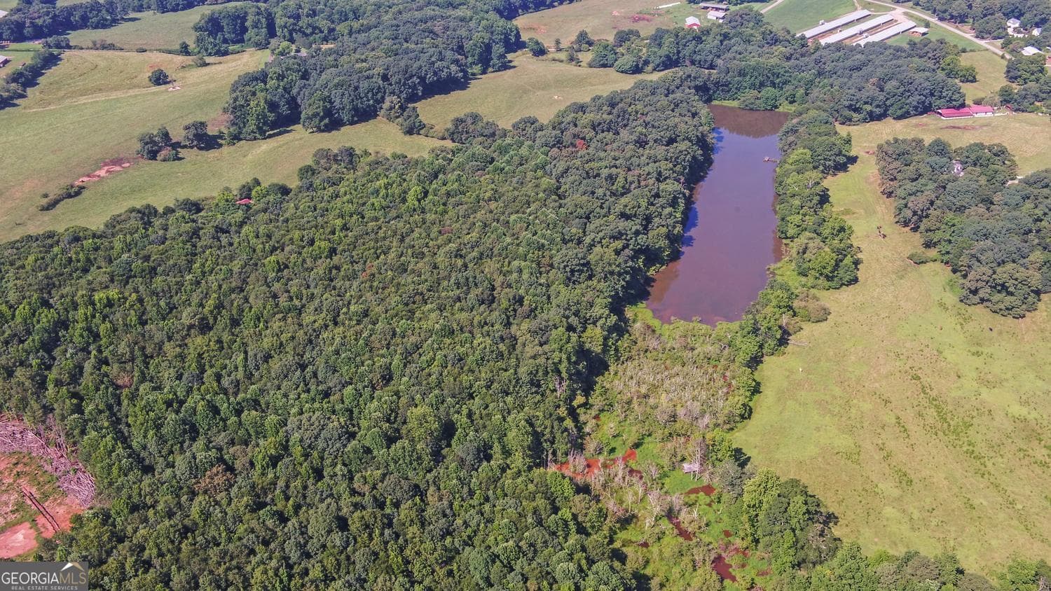 agriculture for sale at 0 Hwy 17, Royston, GA 30662 — photo 9