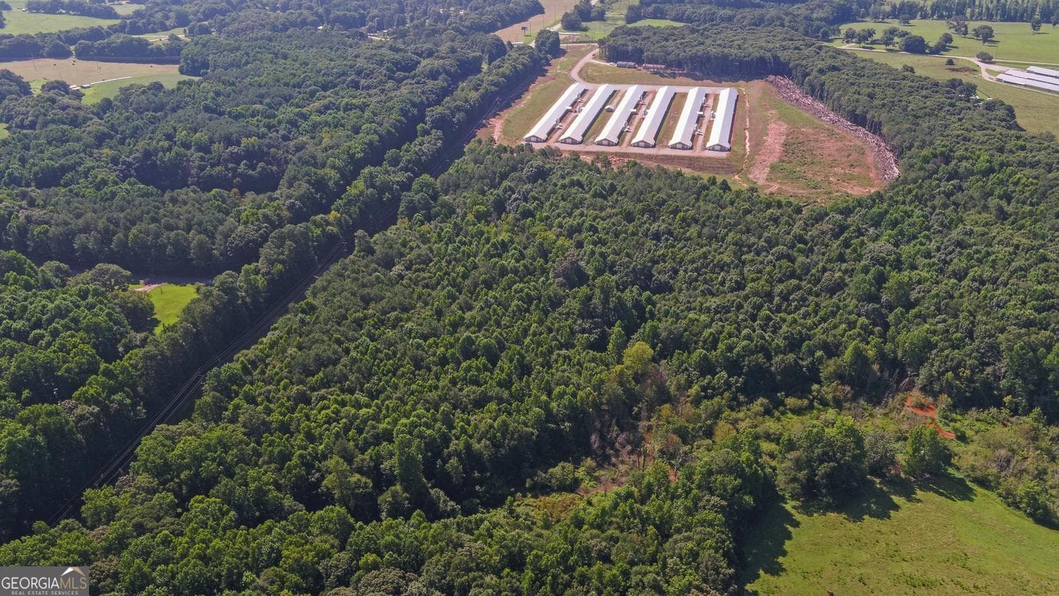 agriculture for sale at 0 Hwy 17, Royston, GA 30662 — photo 8