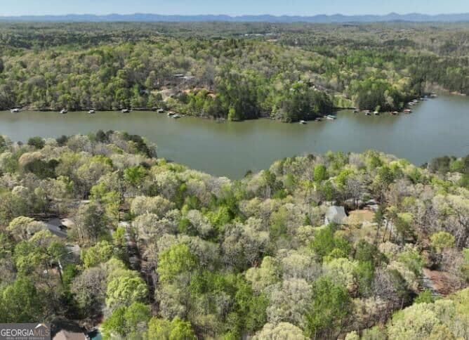 residential lot for sale at 7816 Beachwood Drive, Murrayville, GA 30564 — photo 3