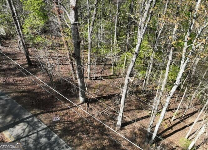 residential lot for sale at 7816 Beachwood Drive, Murrayville, GA 30564 — photo 4