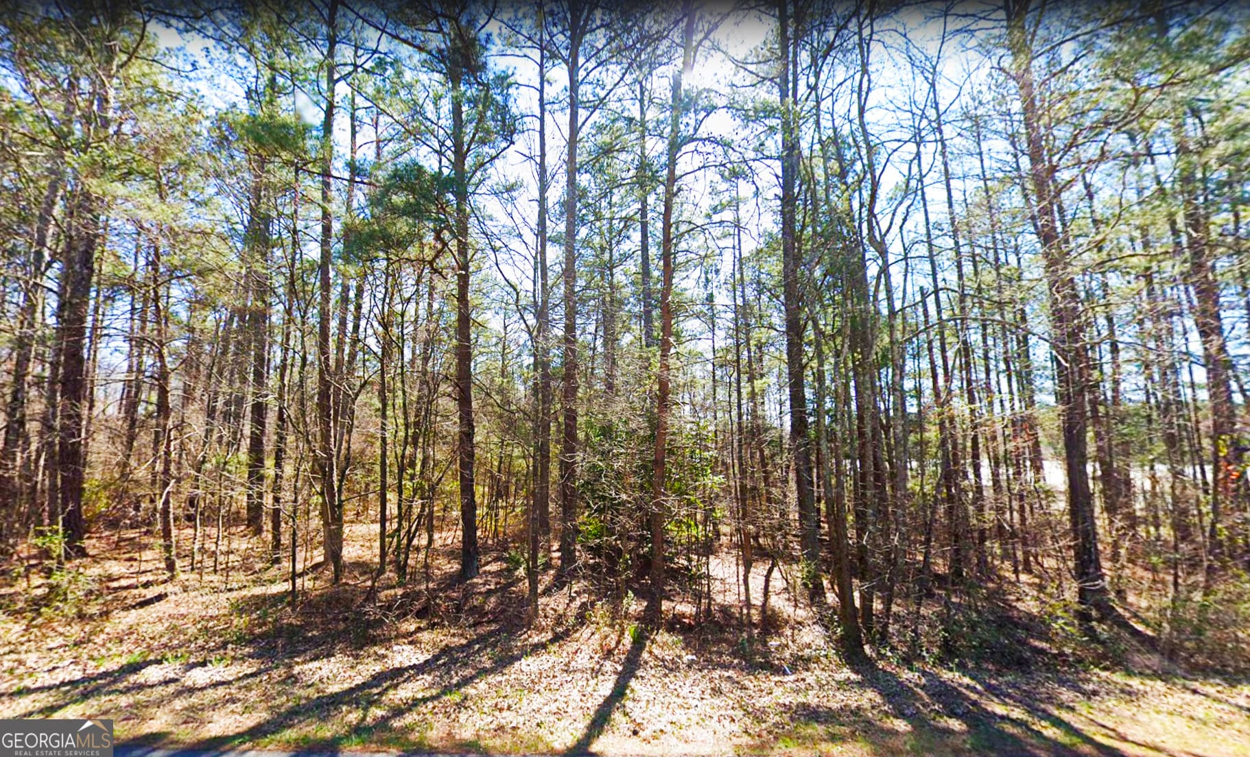 3 bedroom, 1 bathroom, 1,352 sq ft single family residence for sale at 7606 Nebo Road, Hiram, GA 30141 — photo 3
