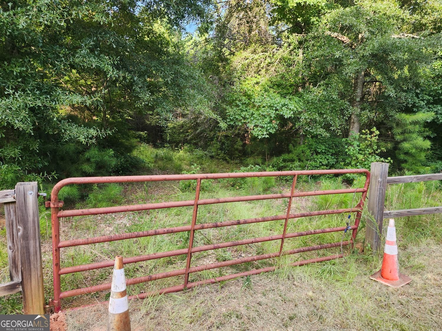 unimproved land for sale at 0 Hwy 142, Newborn, GA 30056 — photo 2