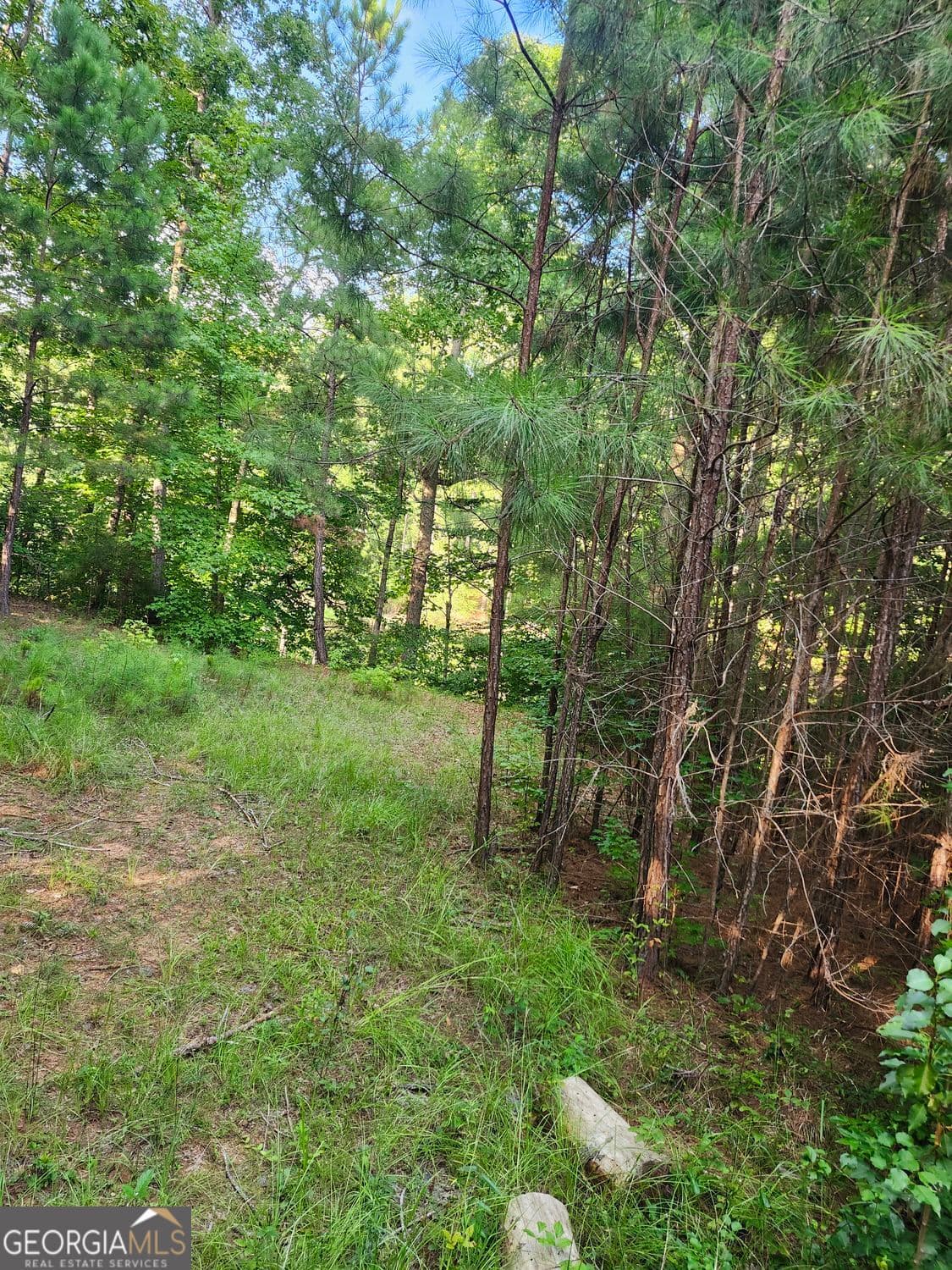 unimproved land for sale at 0 Hwy 142, Newborn, GA 30056 — photo 6
