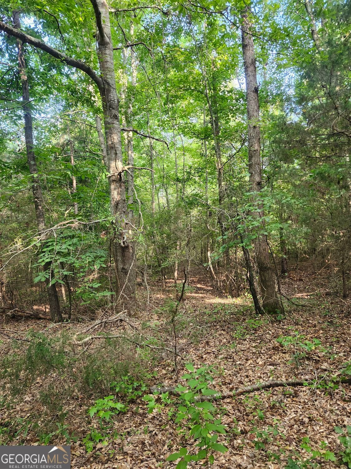 unimproved land for sale at 0 Hwy 142, Newborn, GA 30056 — photo 7