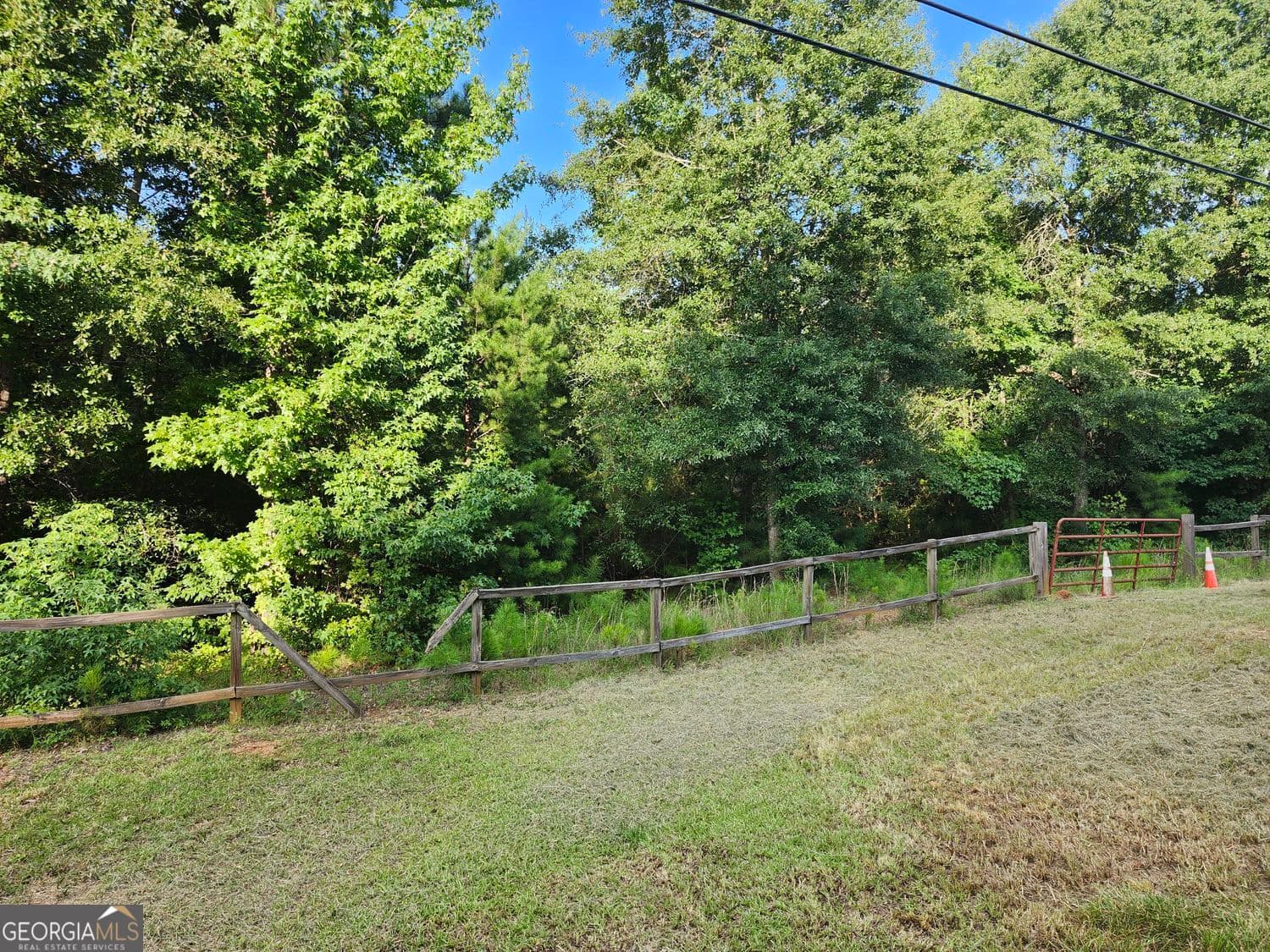 unimproved land for sale at 0 Hwy 142, Newborn, GA 30056 — photo 3