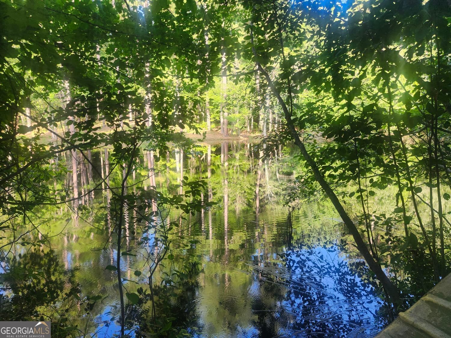 unimproved land for sale at 0 Hwy 142, Newborn, GA 30056 — photo 1 of 9