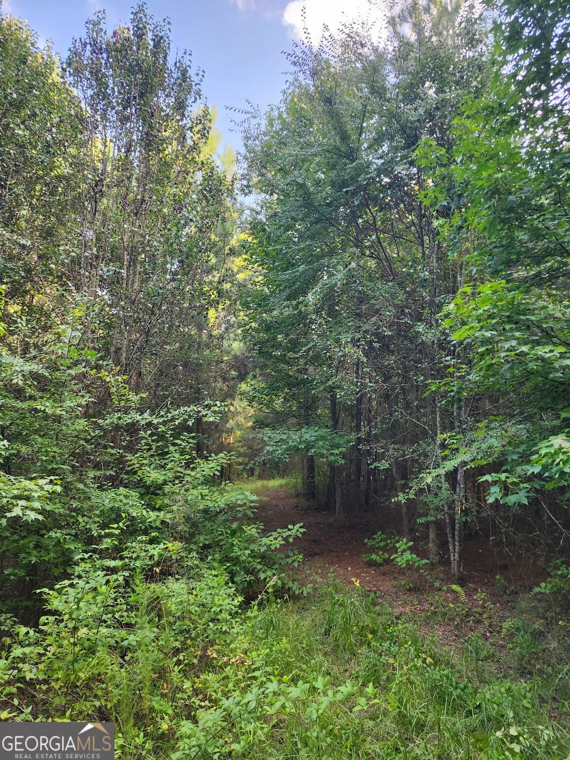 unimproved land for sale at 0 Hwy 142, Newborn, GA 30056 — photo 9