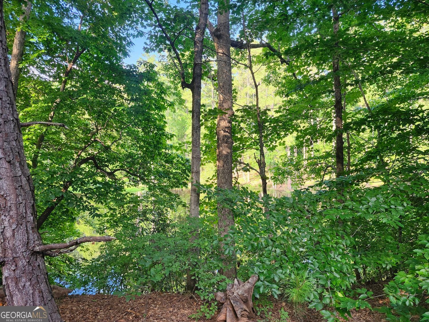 unimproved land for sale at 0 Hwy 142, Newborn, GA 30056 — photo 8