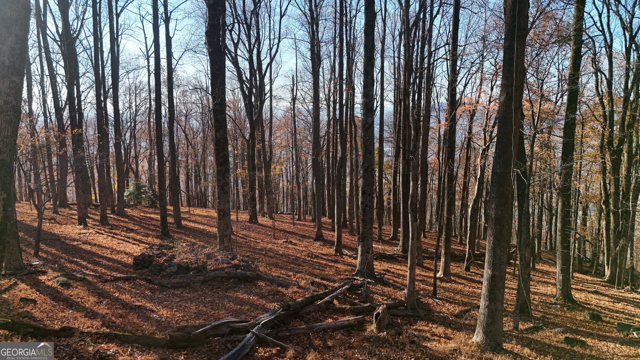 residential lot for sale at LOT 11 Mountainside Drive, Cleveland, GA 30528 — photo 3