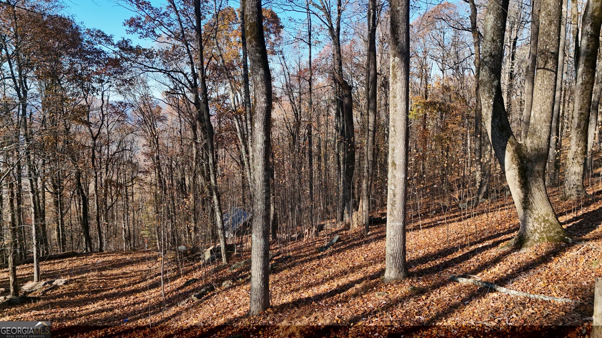residential lot for sale at LOT 11 Mountainside Drive, Cleveland, GA 30528 — photo 1 of 13