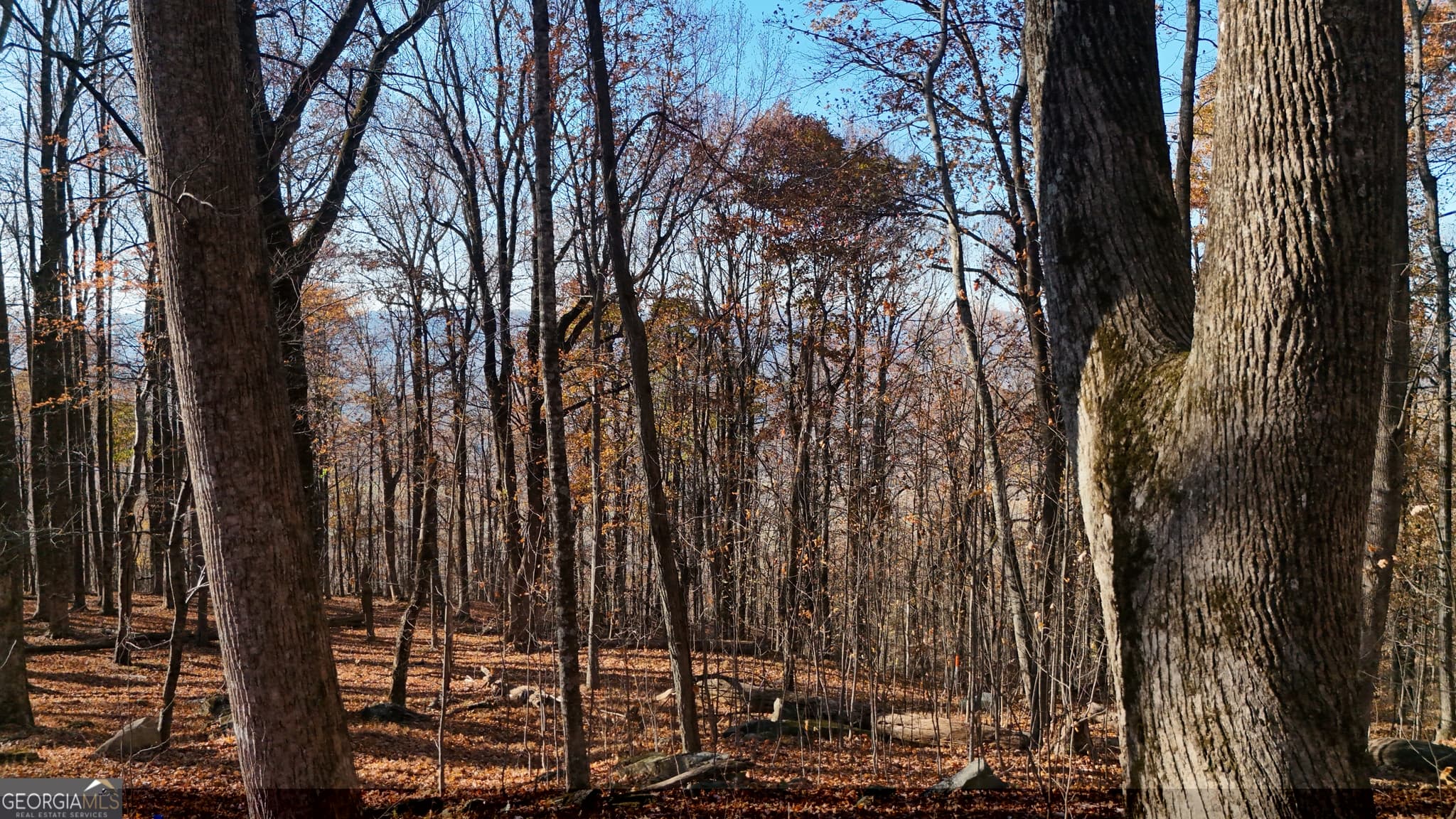 residential lot for sale at LOT 11 Mountainside Drive, Cleveland, GA 30528 — photo 4