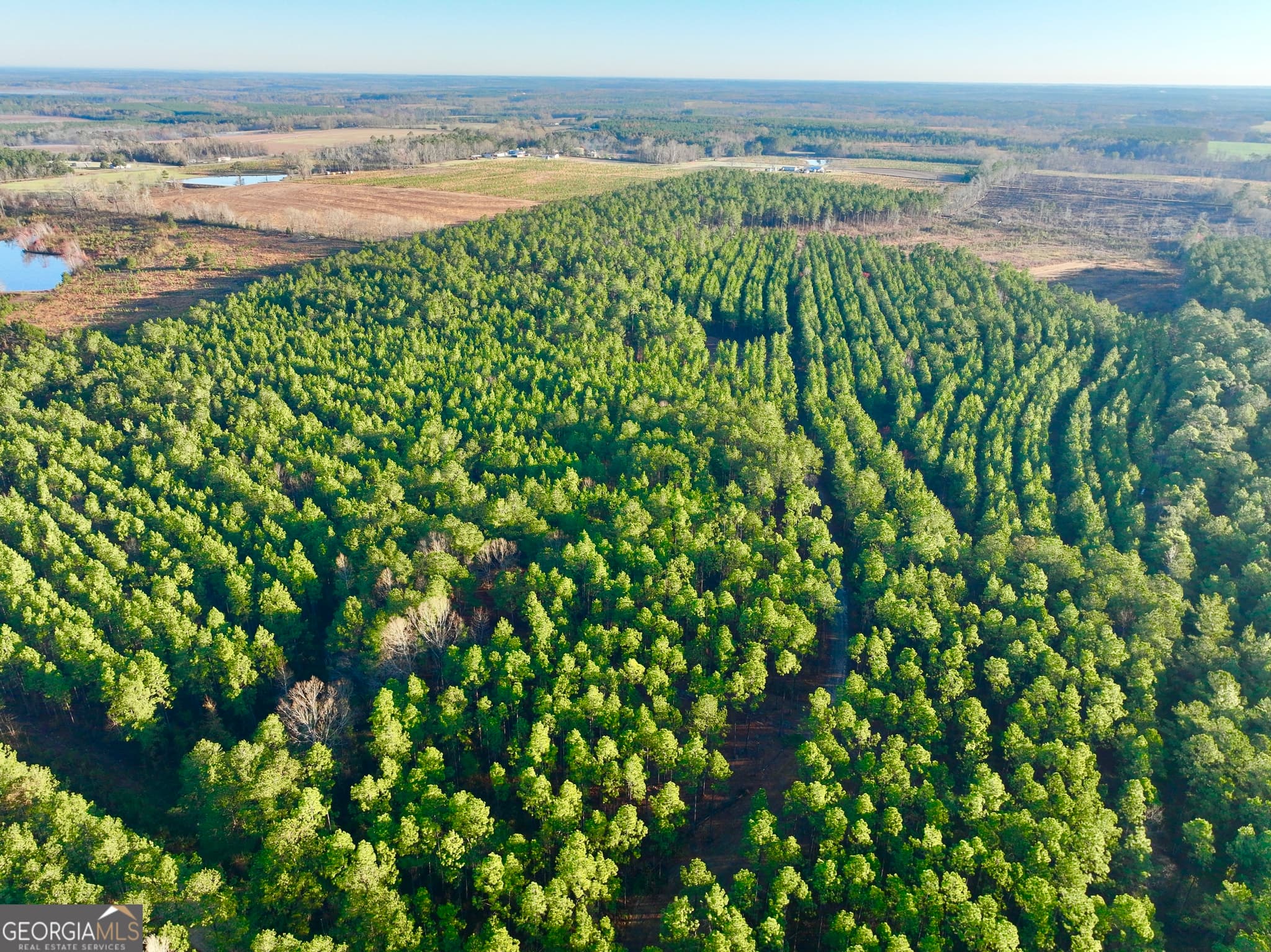 agriculture sold at 0 Yancey Road LOT #WP003, Rhine, GA 31077