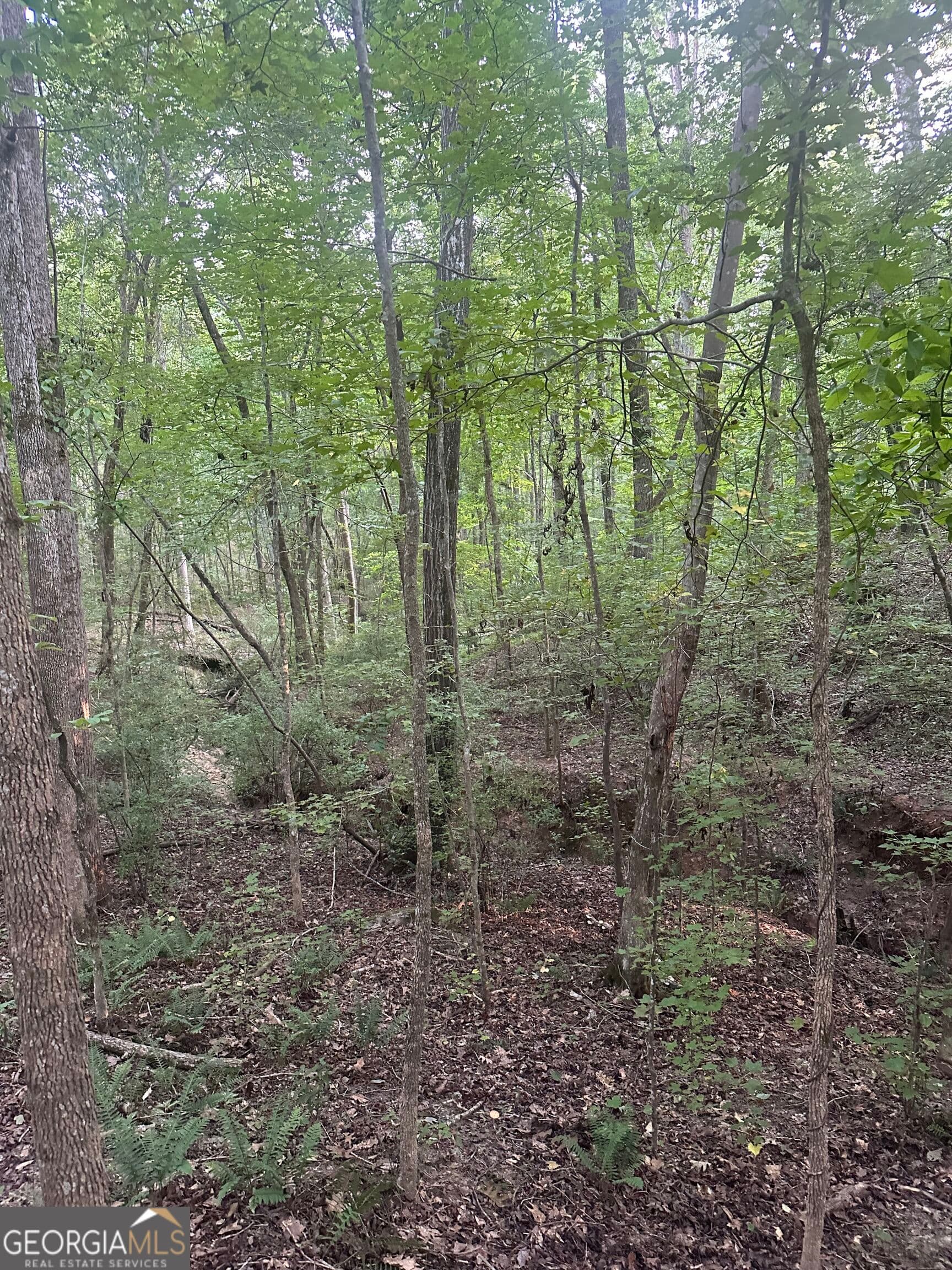 residential lot for sale at 19.46 ACRES Tommy Lee Cook Road, Newnan, GA 30263 — photo 2