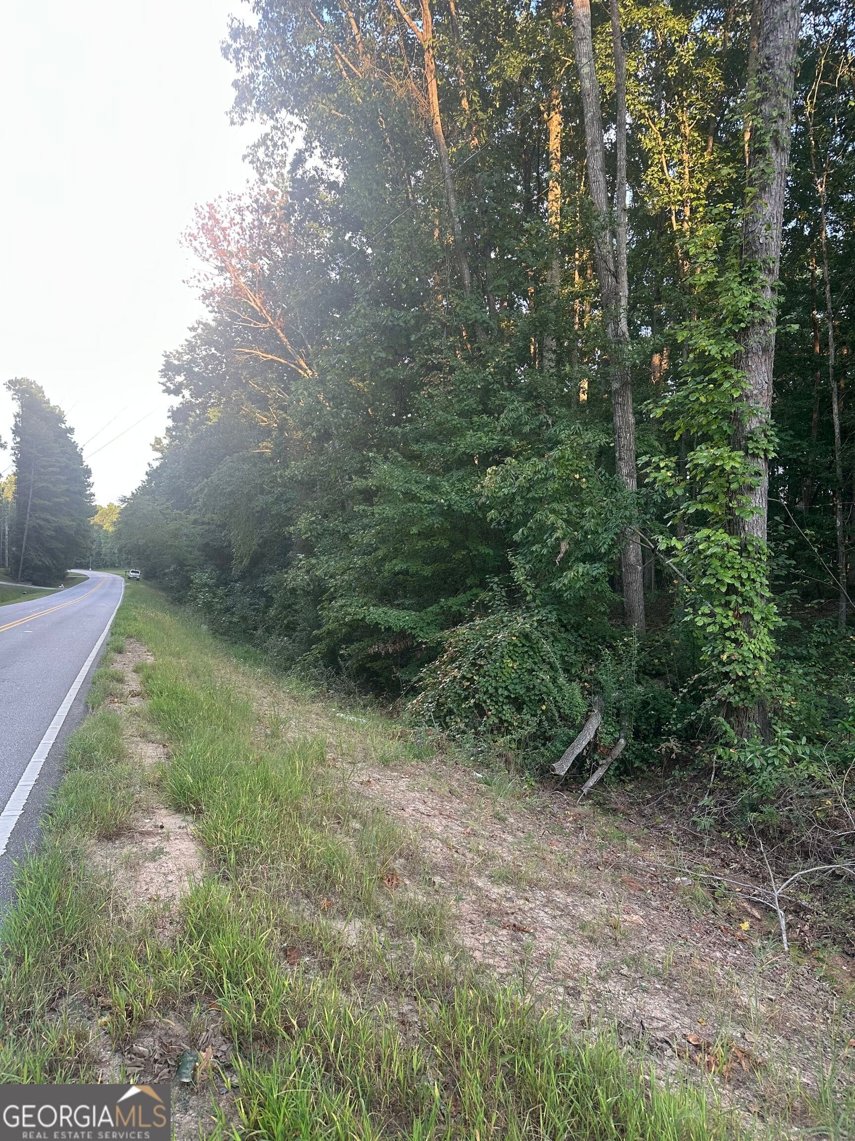 residential lot for sale at 19.46 ACRES Tommy Lee Cook Road, Newnan, GA 30263 — photo 6