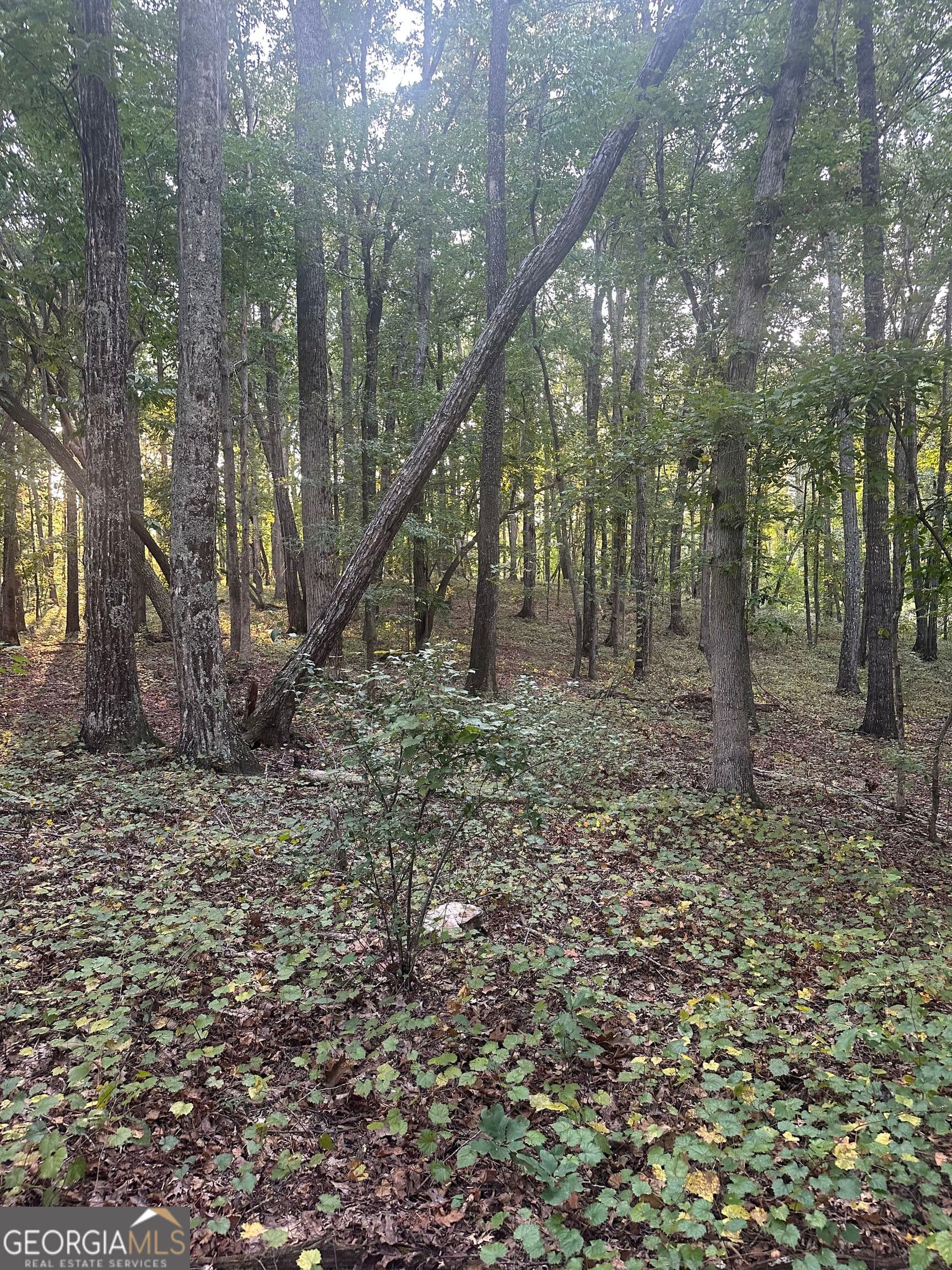 residential lot for sale at 19.46 ACRES Tommy Lee Cook Road, Newnan, GA 30263 — photo 3