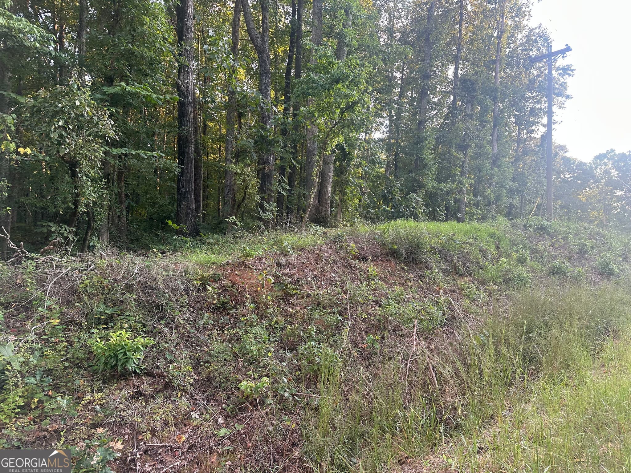 residential lot for sale at 19.46 ACRES Tommy Lee Cook Road, Newnan, GA 30263 — photo 5