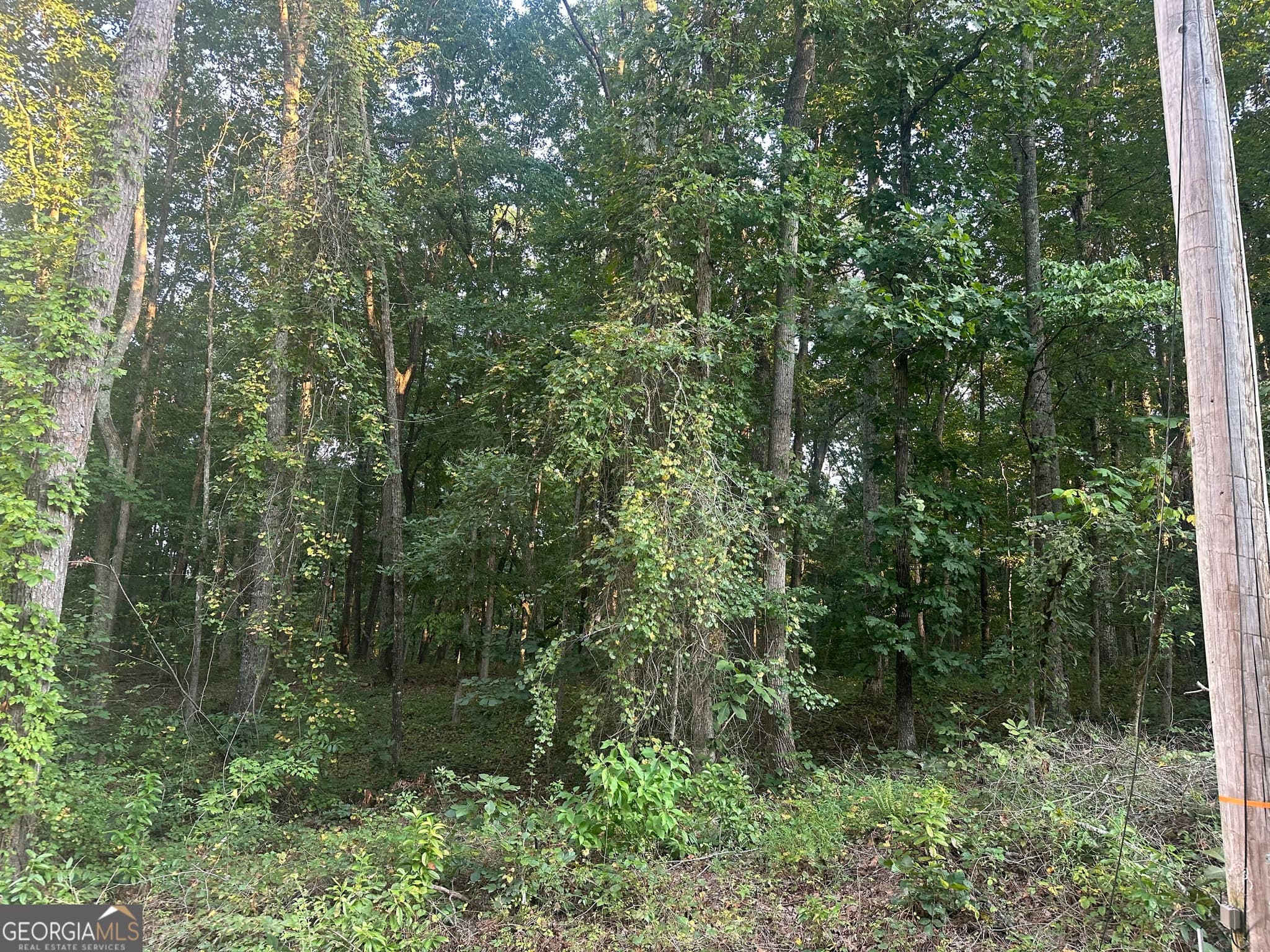 residential lot for sale at 19.46 ACRES Tommy Lee Cook Road, Newnan, GA 30263 — photo 4