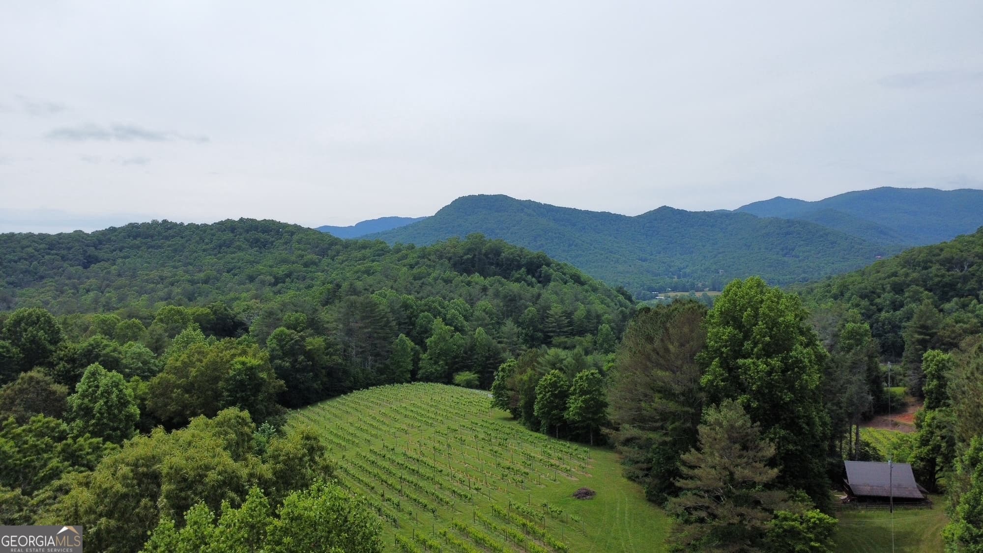 residential lot for sale at 0 Mr Bert Road, Hiawassee, GA 30546 — photo 2