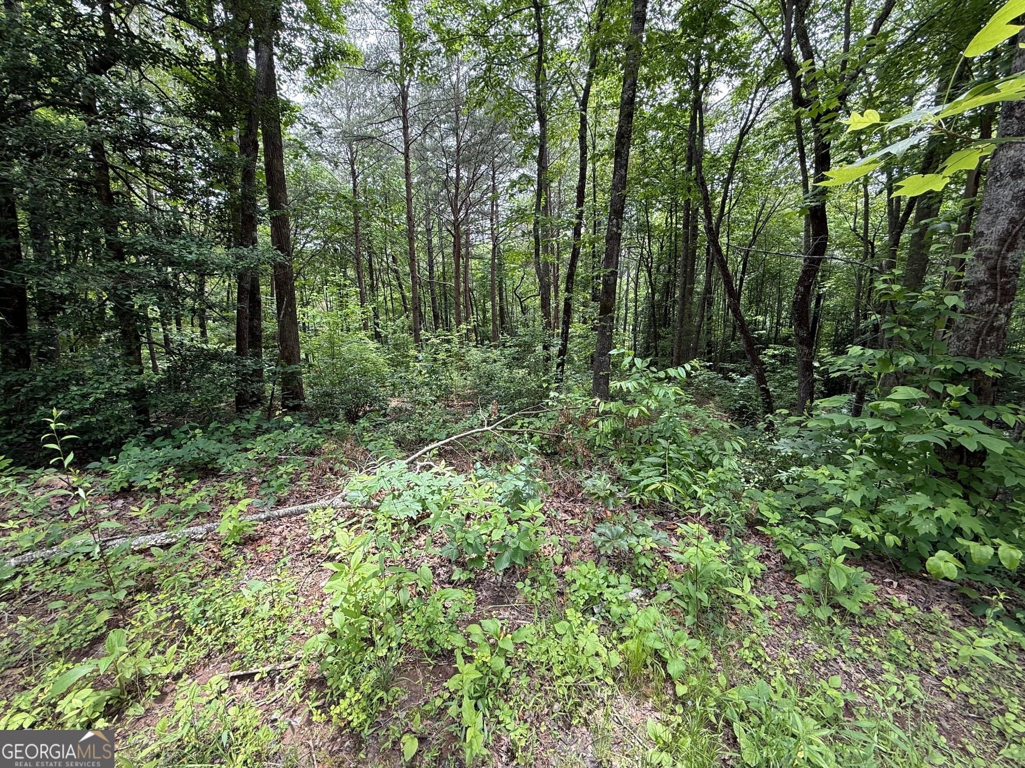 residential lot for sale at 0 Mr Bert Road, Hiawassee, GA 30546 — photo 6