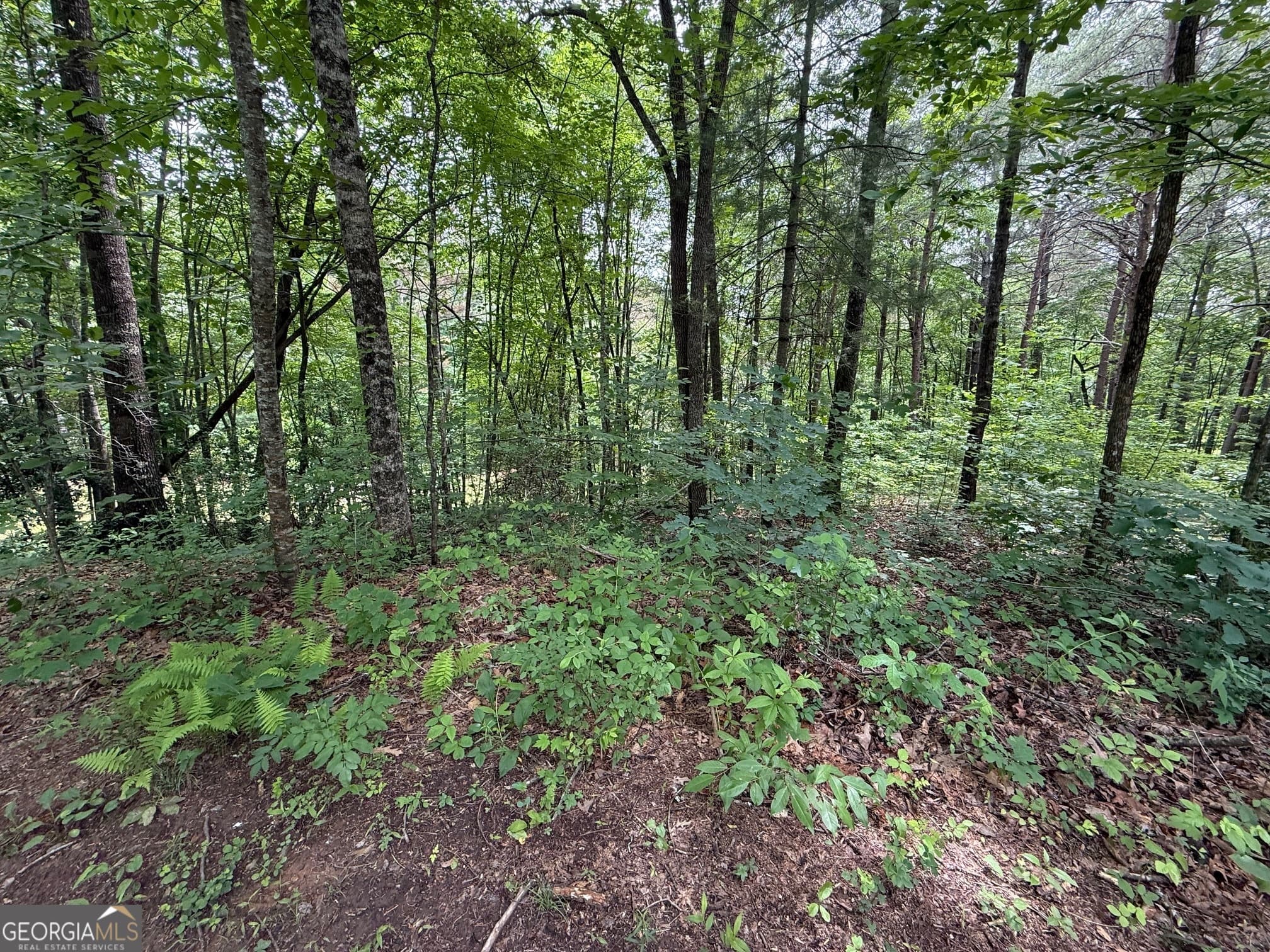 residential lot for sale at 0 Mr Bert Road, Hiawassee, GA 30546 — photo 7