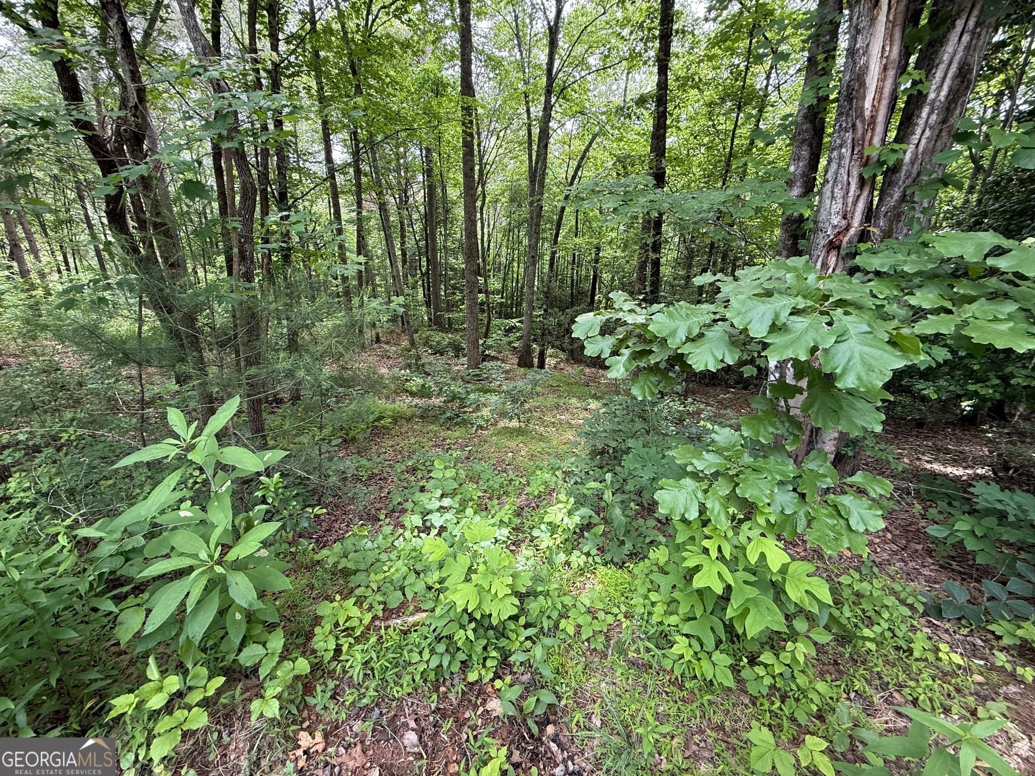 residential lot for sale at 0 Mr Bert Road, Hiawassee, GA 30546 — photo 3