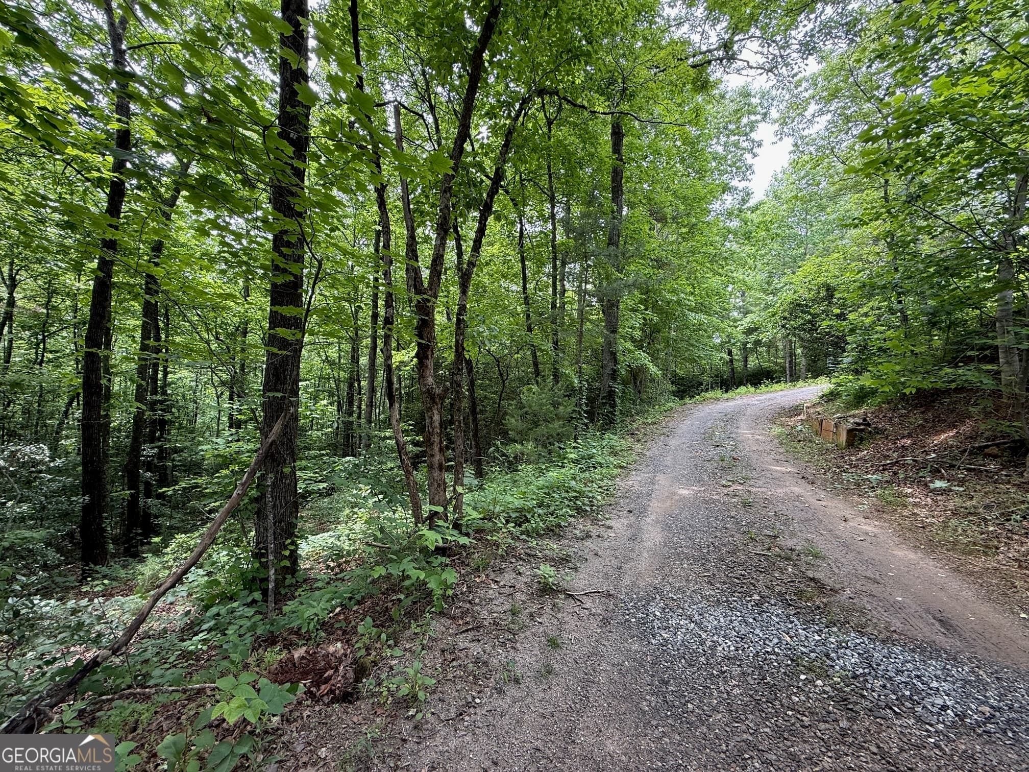 residential lot for sale at 0 Mr Bert Road, Hiawassee, GA 30546 — photo 1 of 22