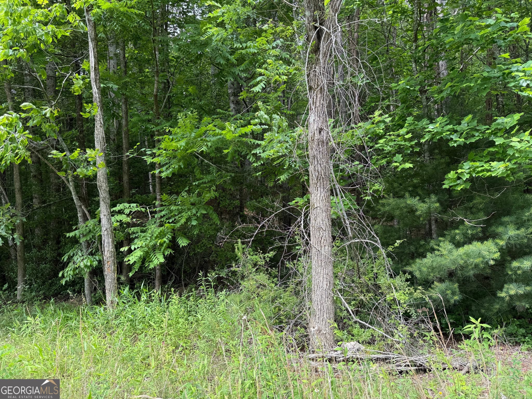 residential lot for sale at 0 Mr Bert Road, Hiawassee, GA 30546 — photo 9
