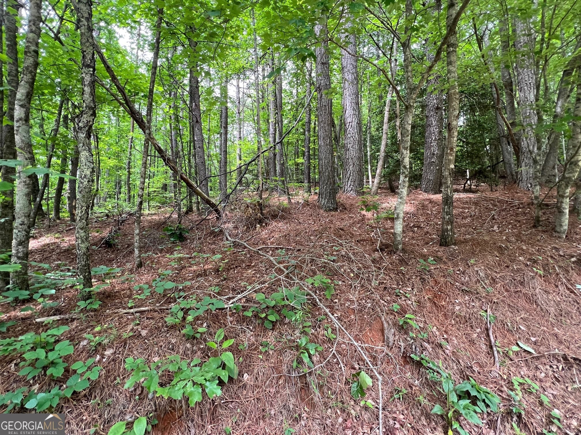 residential lot for sale at 0 Mr Bert Road, Hiawassee, GA 30546 — photo 10