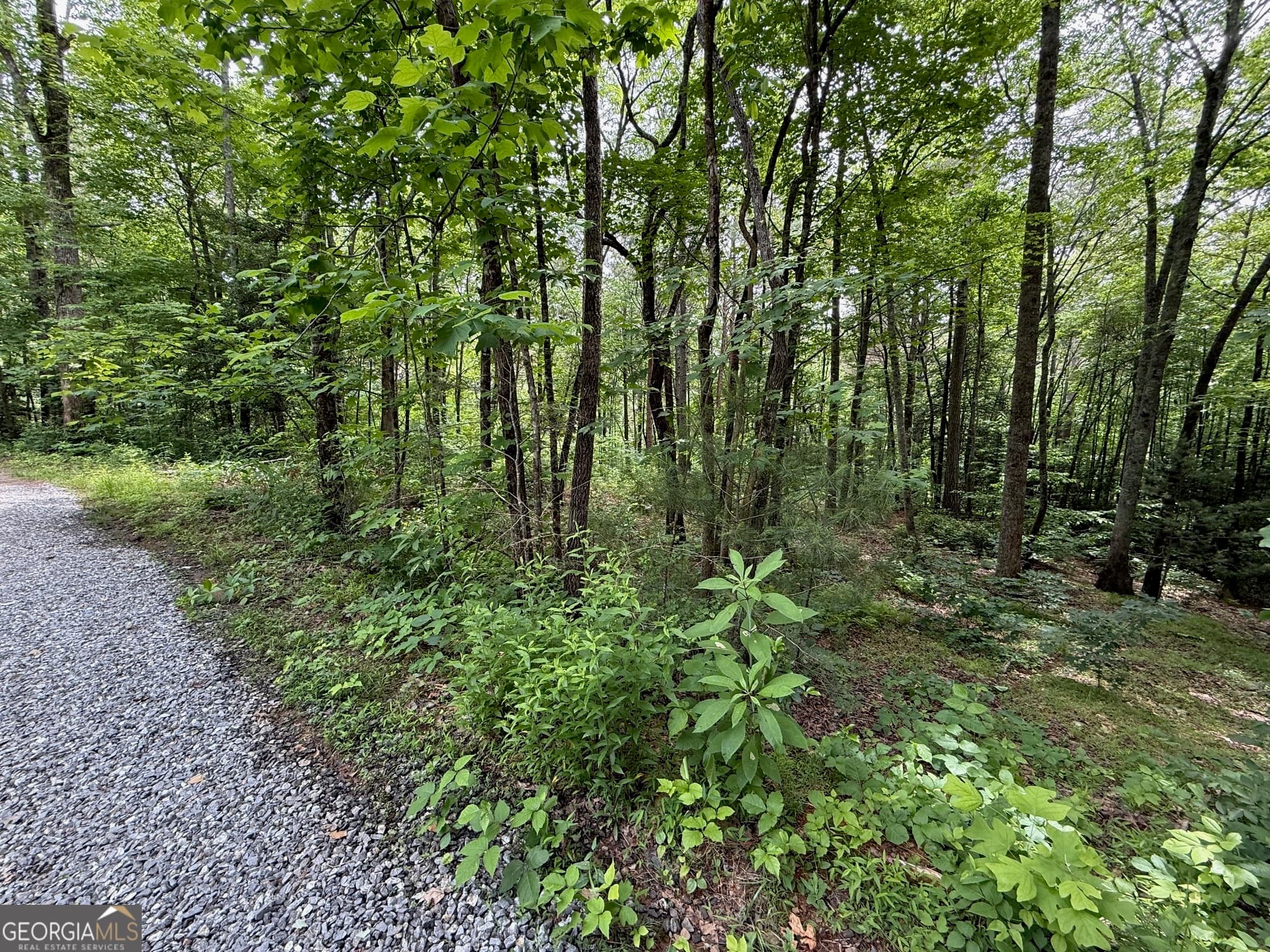 residential lot for sale at 0 Mr Bert Road, Hiawassee, GA 30546 — photo 4
