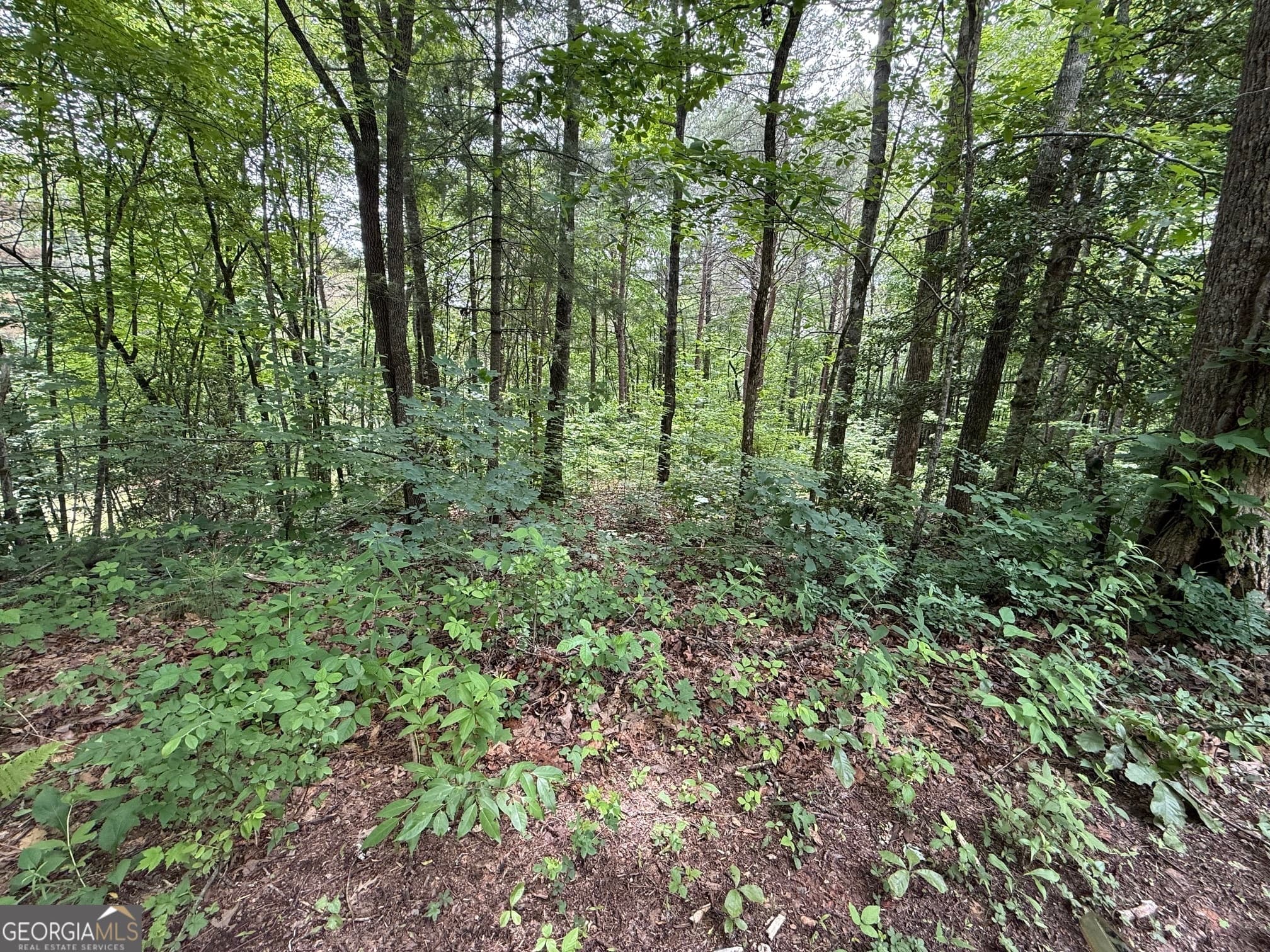 residential lot for sale at 0 Mr Bert Road, Hiawassee, GA 30546 — photo 8