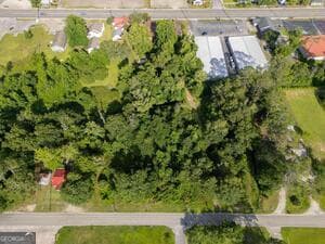 unimproved land for sale at 340 S Main Street, Baxley, GA 31513 — photo 4