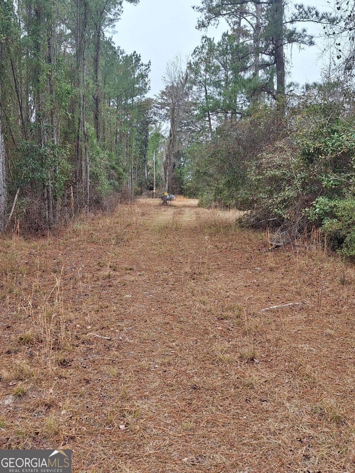 unimproved land for sale at 2447 Old Hwy 259, Waynesville, GA 31566 — photo 2