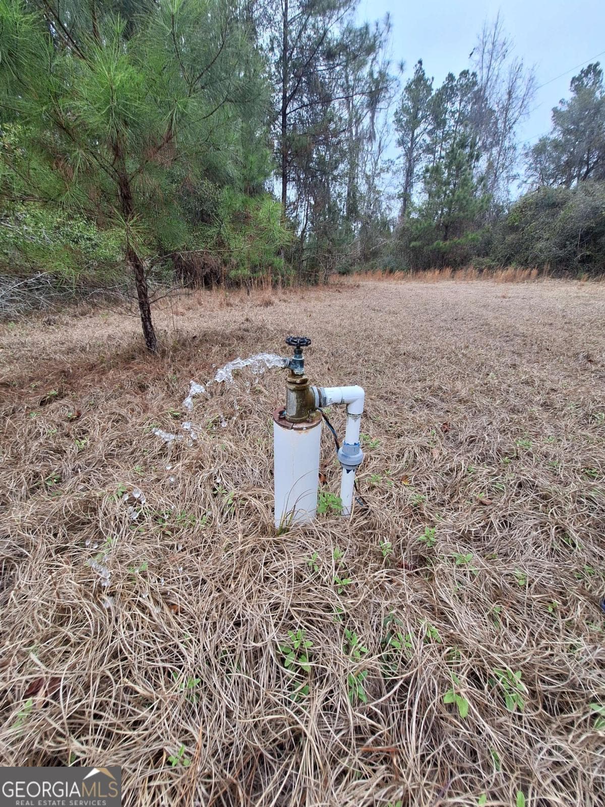unimproved land for sale at 2447 Old Hwy 259, Waynesville, GA 31566 — photo 5