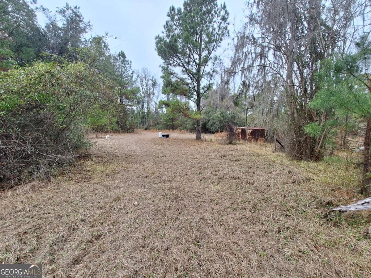 unimproved land for sale at 2447 Old Hwy 259, Waynesville, GA 31566 — photo 4