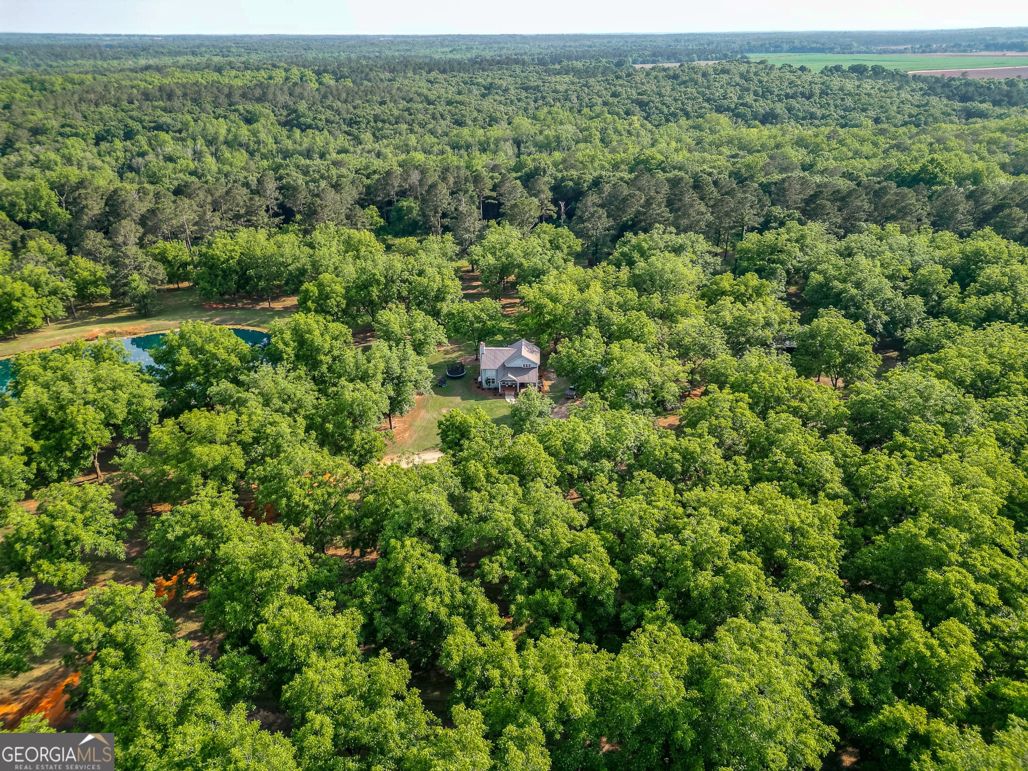 2 bedroom, 2 bathroom, 1,539 sq ft farm sold at 1609 Ivy Mill Road, Parrott, GA 39877