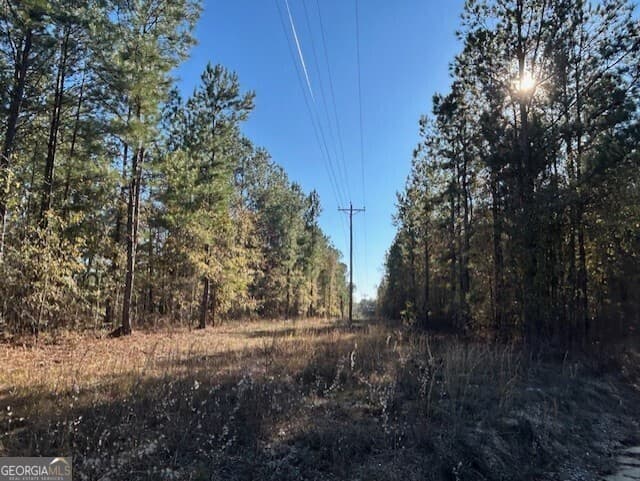 residential lot for sale at 0 Wilson Road, Warrenton, GA 30828 — photo 6