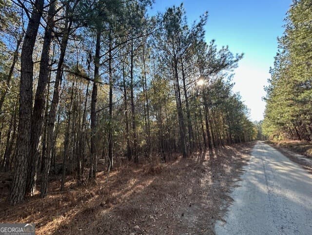 residential lot for sale at 0 Wilson Road, Warrenton, GA 30828 — photo 3