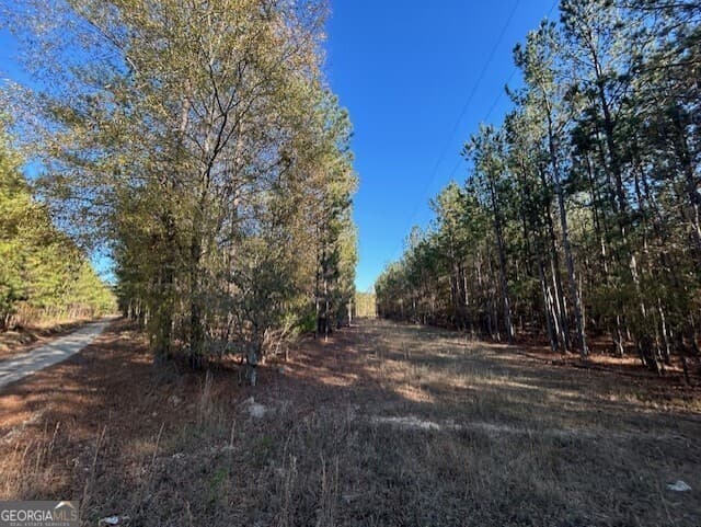 residential lot for sale at 0 Wilson Road, Warrenton, GA 30828 — photo 5
