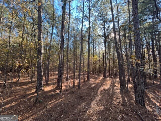 residential lot for sale at 0 Wilson Road, Warrenton, GA 30828 — photo 4