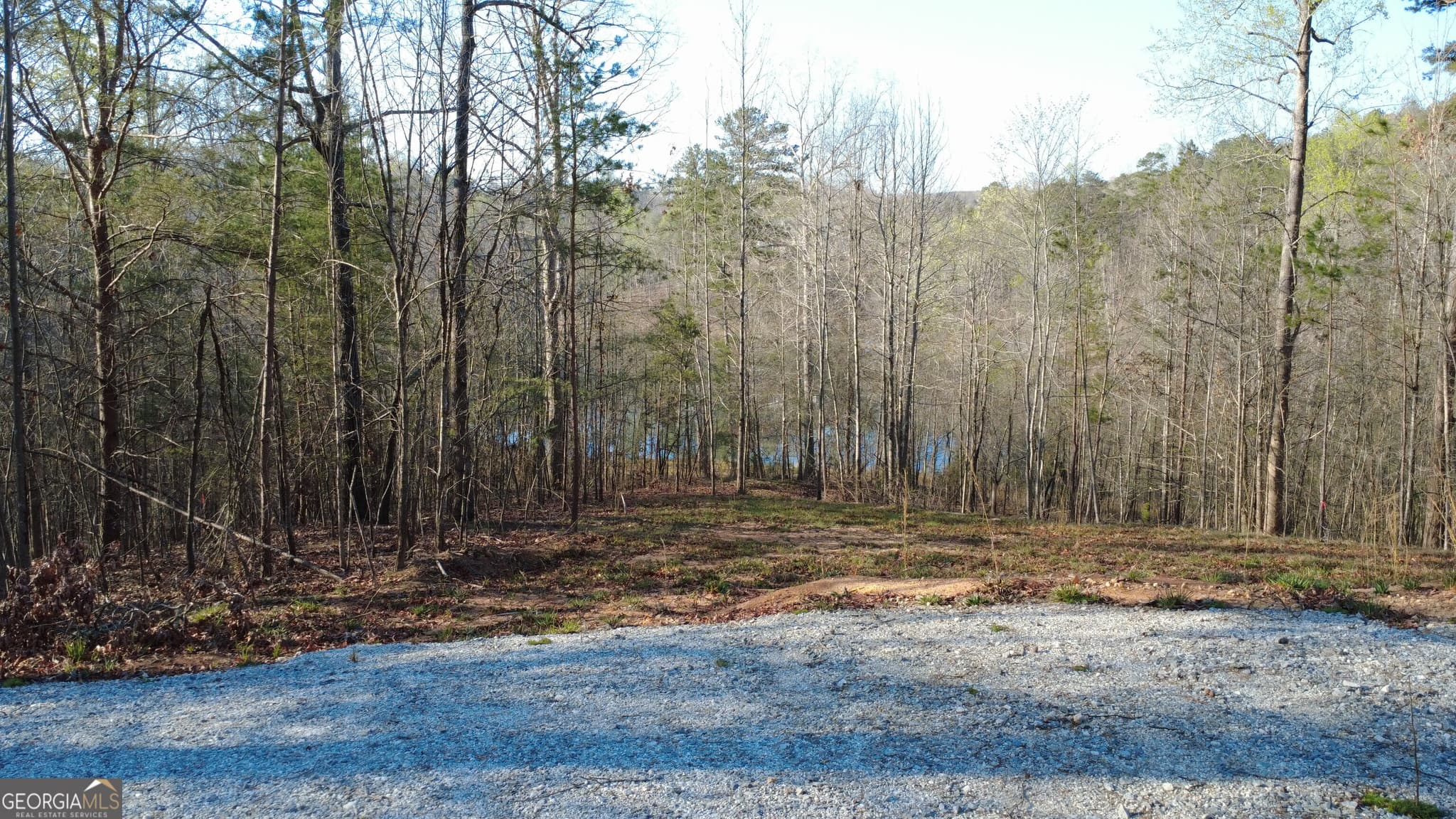 residential lot for sale at 0 Purvis Road, Baldwin, GA 30511 — photo 2