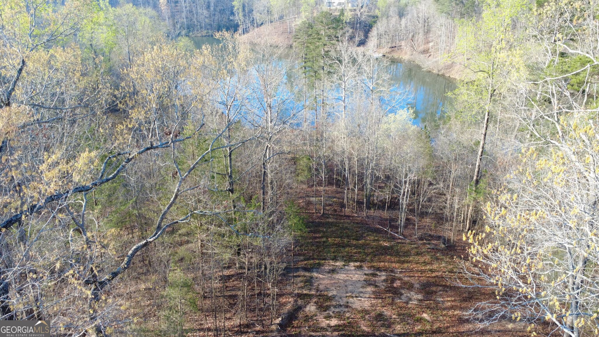 residential lot for sale at 0 Purvis Road, Baldwin, GA 30511 — photo 1 of 14