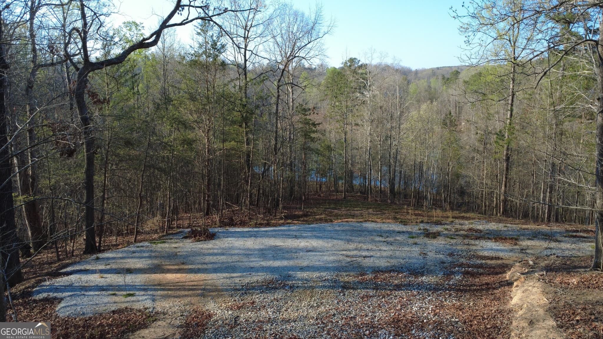 residential lot for sale at 0 Purvis Road, Baldwin, GA 30511 — photo 4