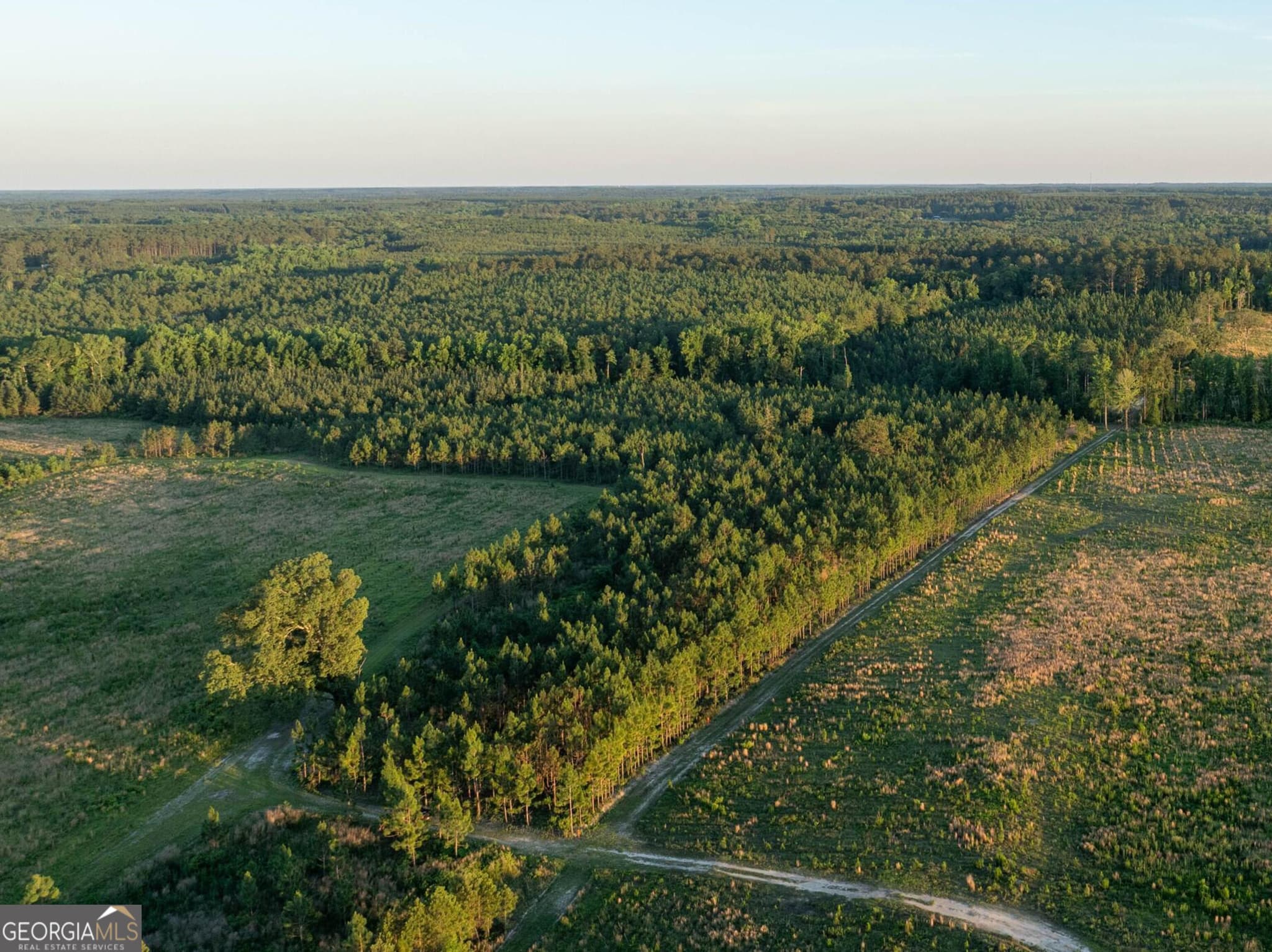 agriculture for sale at 004 Beulah Road TRACT 4, Sylvania, GA 30467 — photo 2