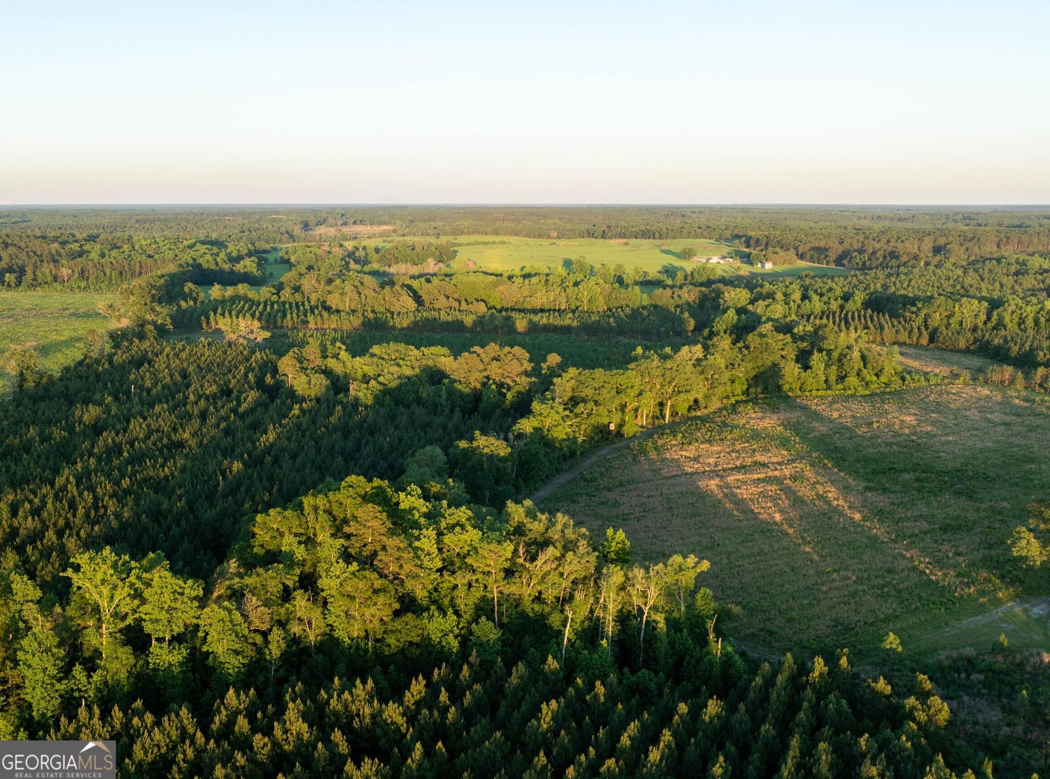 agriculture for sale at 004 Beulah Road TRACT 4, Sylvania, GA 30467 — photo 1 of 24