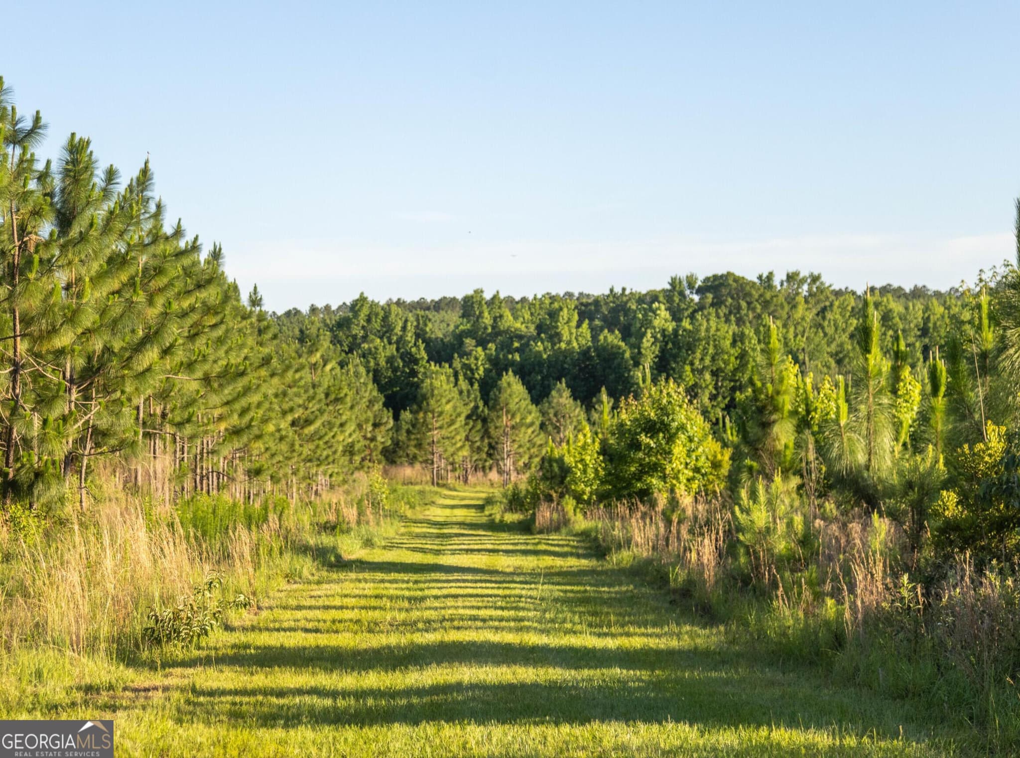 agriculture for sale at 004 Beulah Road TRACT 4, Sylvania, GA 30467 — photo 5